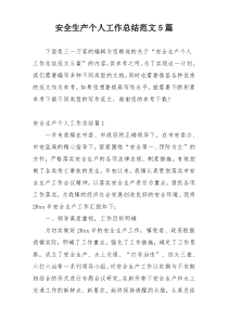 安全生产个人工作总结范文5篇