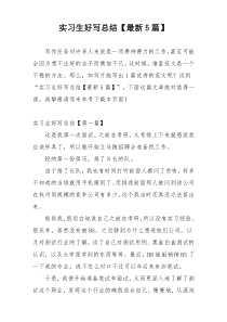 实习生好写总结【最新5篇】