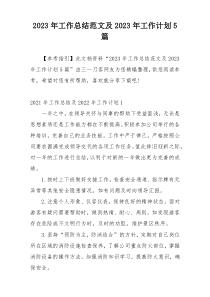 2023年工作总结范文及2023年工作计划5篇