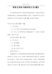 财务文员实习报告范文【4篇】