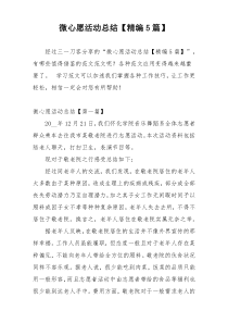 微心愿活动总结【精编5篇】