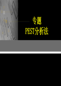 PEST分析法（22P PPT）