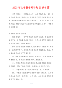 2023年大学新学期计划20条5篇