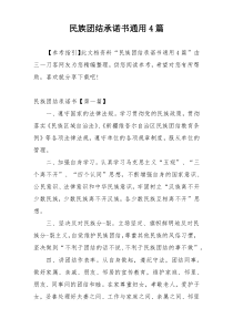 民族团结承诺书通用4篇