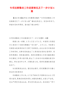 专项巡察整改工作进展情况及下一步计划4篇