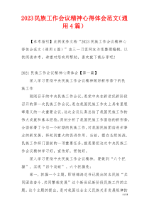 2023民族工作会议精神心得体会范文（通用4篇）