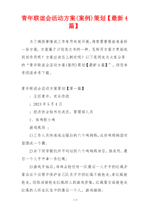 青年联谊会活动方案(案例)策划【最新4篇】