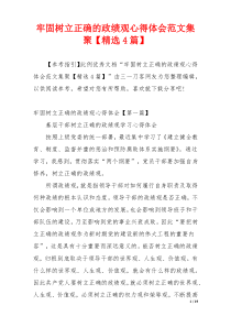 牢固树立正确的政绩观心得体会范文集聚【精选4篇】