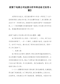 疫情下电商公司运营分析年终总结【实用4篇】