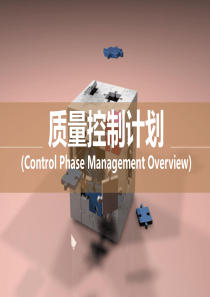 质量控制计划(Control-Plan)培训教材