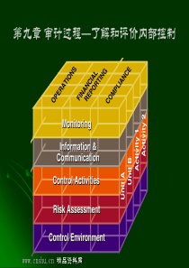 审计过程了解和评价内部控制(PPT87页)