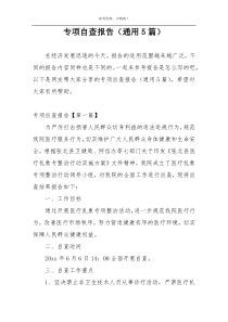 专项自查报告（通用5篇）
