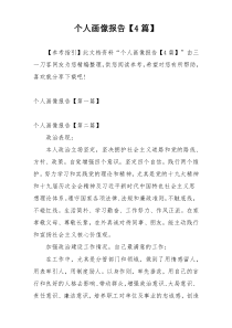 个人画像报告【4篇】