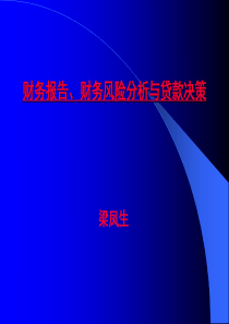 财务报告、财务风险分析与贷款