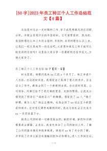2023年员工转正个人工作总结范文【4篇】