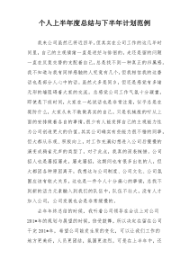 个人上半年度总结与下半年计划范例