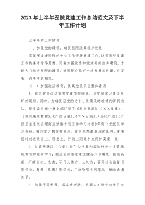 2023年上半年医院党建工作总结范文及下半年工作计划