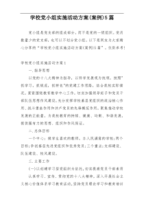 学校党小组实施活动方案(案例)5篇