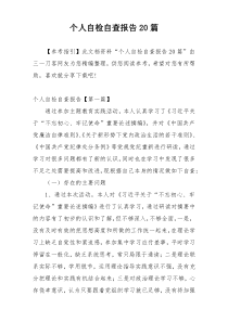 个人自检自查报告20篇