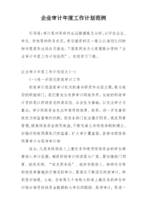 企业审计年度工作计划范例
