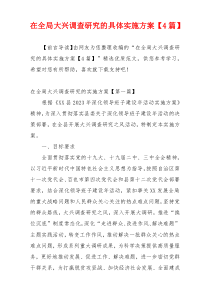 在全局大兴调查研究的具体实施方案【4篇】