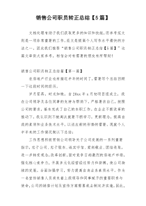 销售公司职员转正总结【5篇】