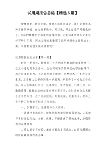 试用期报告总结【精选5篇】