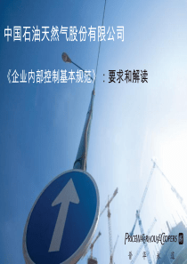 普华解读《企业内部控制基本规范》