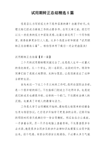 试用期转正总结精选5篇