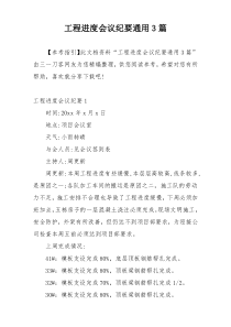 工程进度会议纪要通用3篇