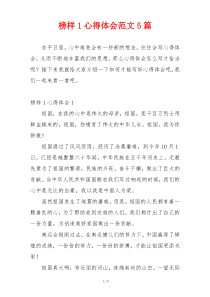 榜样1心得体会范文5篇