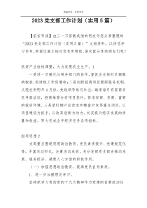 2023党支部工作计划（实用5篇）