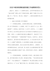 2022年度某党委抓基层党建工作述职报告范文