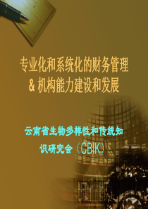 专业化和系统化的财务管理