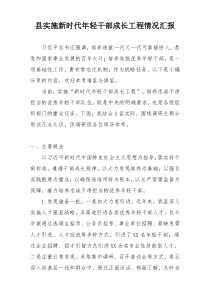 县实施新时代年轻干部成长工程情况汇报