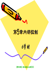 第5章内部控制