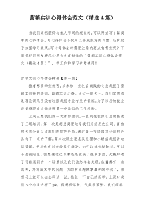 营销实训心得体会范文（精选4篇）