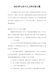2023护士长个人工作计划5篇