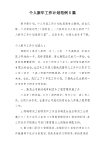 个人新年工作计划范例5篇