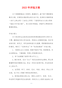 2023年评选方案
