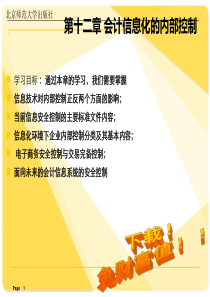第十二章会计信息化内部控制