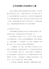 公司试用期工作总结范文5篇