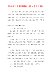 新年活动方案(案例)大班（最新5篇）