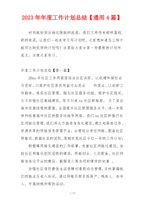 2023年年度工作计划总结【通用4篇】