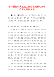 学习贯彻中央政法工作会议精神心得体会范文范例4篇