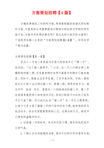 方案策划招聘【4篇】