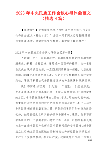 2023年中央民族工作会议心得体会范文（精选4篇）