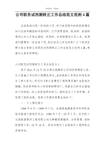 公司职员试用期转正工作总结范文范例4篇