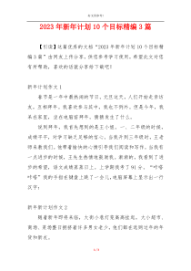 2023年新年计划10个目标精编3篇