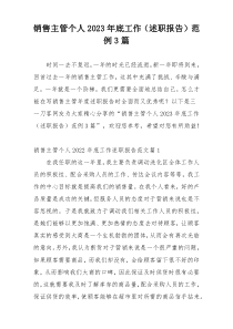 销售主管个人2023年底工作（述职报告）范例3篇